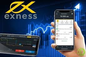 Explore the Features of Exness Web Platform
