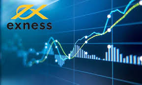 Explore the Features of Exness Web Platform