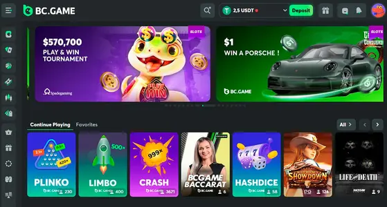 Exploring the Thrills of Online Gaming with BC.Game